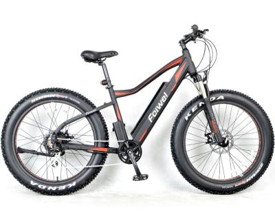 China standard big power fat electric bike/fat tire electric bicycle for sale/cheap electric bike frame battery for sale