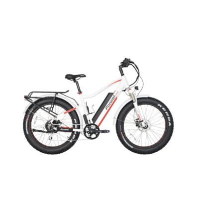 China Big Power Fat Tire Aluminum Alloy Electric Bike 48V500W/750w Cheap Electric Bike Electric Mountain Bike for sale