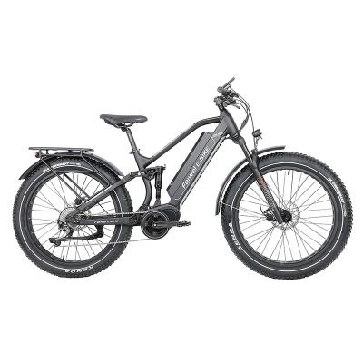 China Aluminum alloy power 750W-1000W big suspension electric bicycle full/electric fat bike/electric bicycle for sale