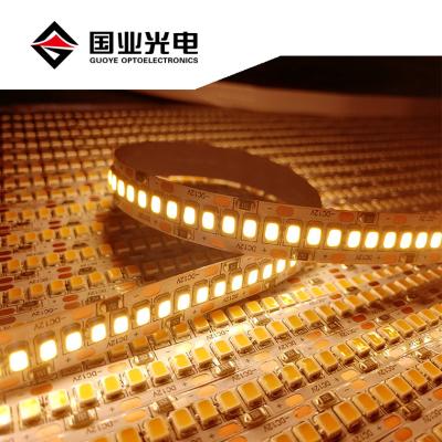 China ROUTE Guoye Brightness 240 High Wire Multimeter Led Strip Light 2835 smd 12v 24v 10mm Width Flexible Strip Led Lights For Decoration for sale