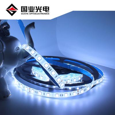 China LANDSCAPE high lumen 5050 led strip rope light 60leds/m silicone IP65 flexible RGB waterproof white color 12V 24v led lights for sale