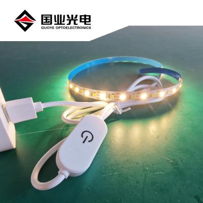 China USB Design Touching Dimmer 5V Double TDC Color Led Strip Light Set for sale