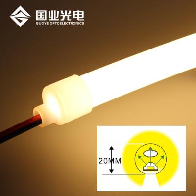 China Construction D20mm 270 degree 12v 24v tube led wired neon light for sale