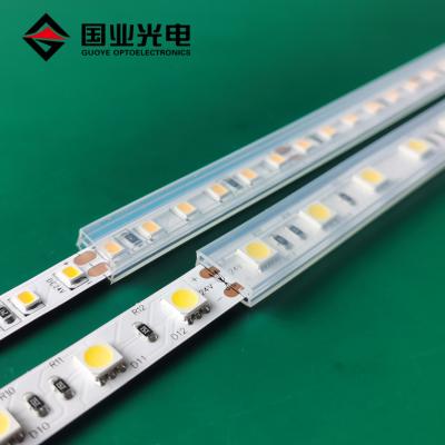 China IP67 design waterproof led strip light with moisture proof transparent silicone tube cover high dust prevention for sale