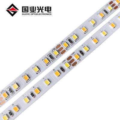 China Smart Strip Light 12V 24V 2835 Economical LANDSCAPE Dual Color 120led/m CCT Led Strip Home Lighting for sale