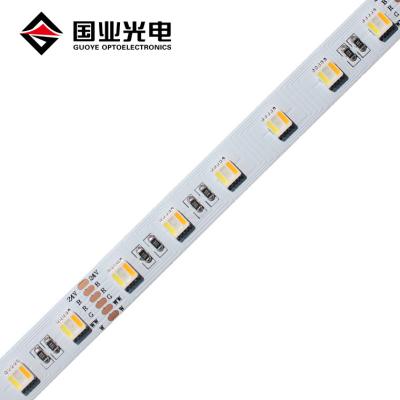 China Hot LANDSCAPE RGBCCT WRGBWW 5in1 led strip light 60leds/m flexible smd 24V 5050 rope light for sale