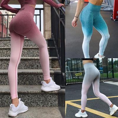 China Yoga Gaiters Gym Sports Butt Lift Yoga Gaiters Breathable Seamless Waist Quick Dry Women Relieve Gaiters for sale