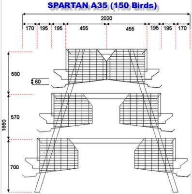 China Raises 160 Birds Chicken Cages Layers One Type Battery Layer In Kenya Nigeria Poultry Farm With Low Price for sale