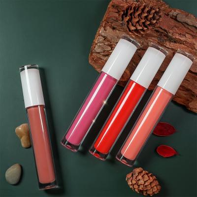 China Best Waterproof Orange Liquid Lipsticks Lace Lip Gloss Custom Lip Gloss High Quality Liquid Lipstick for sale