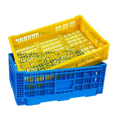 China Eco-friendly Collapsible Plastic Collapsible Mesh Storage HDPE Supermarket Raw Material Egg Carrier Basket Egg Carrier Bins Vegetable Crate for sale