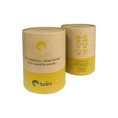 China Factory Wholesale Free Sample Biodegradable Big Size Kraft Paper Tubes Packaging for sale