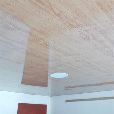 China 2020 Artistic PVC Panel Ceilings China Supplier Indonesia Bangladesh PVC Ceiling Designs For Bedroom for sale