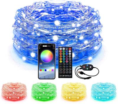 China Incorporated Digital IC, CUSTOM navidad 6.56FT/2M USB coloricadena de luz de navidad manguera de luces de decoracion for sale