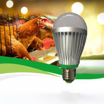 China Agriculture LED poultry lamp|chicken farm bulb|A60 waterproof 12W with E27 or B22 base for sale