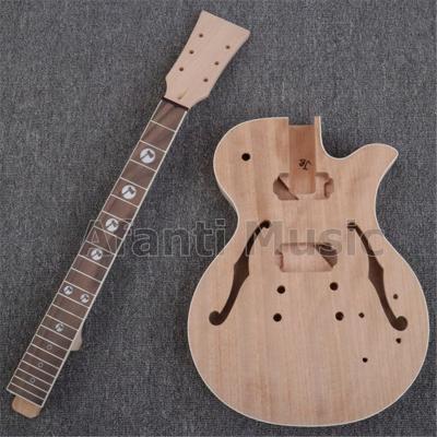 China New mahogany design! Afanti DIY Music Electric Guitar Kit (ALP-002B) for sale