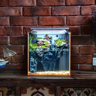 China Viable Mini Acrylic Desktop Glass Fish Tanks Smart Controlled Fish Tank For Home for sale