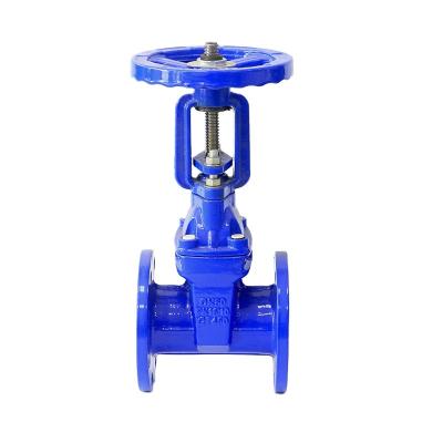 China 2022 new promotion high precision malleable iron gate valve blue malleable iron gate valve for sale