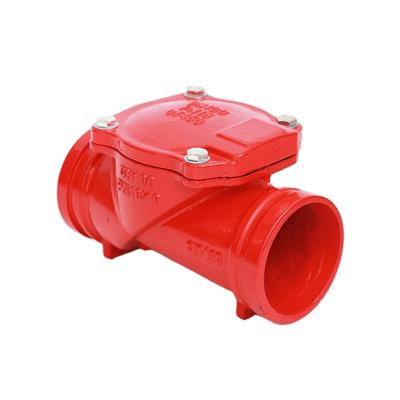 China New Arrivals Good Quality Iron Check Valves Long Service Life Red Color Malleable Malleable Iron for sale