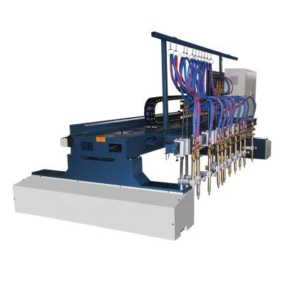 中国 High Accuracy Gantry CNC Fine Plasma Oxyfuel Oxy Flame Straight Strips Cutting Machine 販売のため