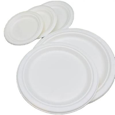 China Waterproof High Quality Eco Friendly Custom Paper Plates Disposable Compostable Degradable Paper Plates Degradable Bowls for sale