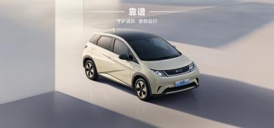 China BYD 2025 420 km Dolphin Active Edition EV zu verkaufen