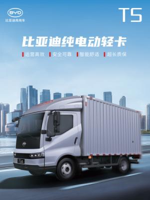 Cina T5 PURO ELETRICO Camion leggero in vendita