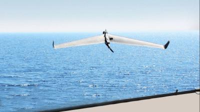 China Industrieflugzeug Drohne Orbiter 2 UAV Drohne Überwachung Aufklärung zu verkaufen