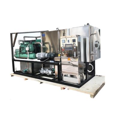 China Medicine processing factory selling large capacity fruit vegetable meat dryer vacuum electric freeze dryer for sale