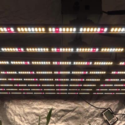 China Seed Seed Growing Quality LED Plant Grow Light With 80W COB Led Dimming Full Spectrum Plant Grow Plug Hydroponics for sale