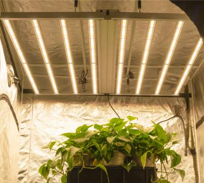 China Seed Starting DLC ​​ETL Approved Waterproof LED Grow Light For Indoor Plant for sale