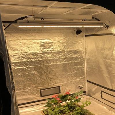 China Seed Seed Growing Greenhouse Plant Growing Light 330W Full Spectrum Led Light Growing Light For Indoor Plants for sale