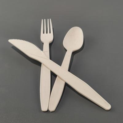 China Eco Friendly Biodegradable Compostable Biodegradable Disposable Knife and PLA Cutlery Spoon Fork for sale