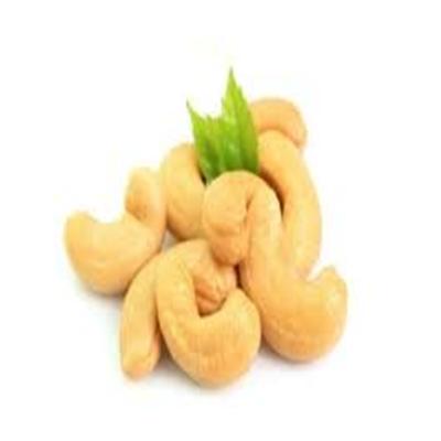 China Original Vietnam wholesale price premium quality dried organic cashew nuts /raw cashews for sale