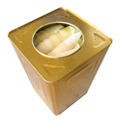 China Canned High Quality Freshwater Canned Bamboo Shoot for sale