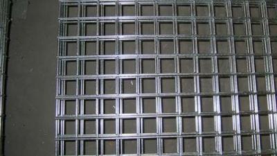 China factory welded wire mesh panel/galvanized welded wire mesh/PVC welded mesh for sale