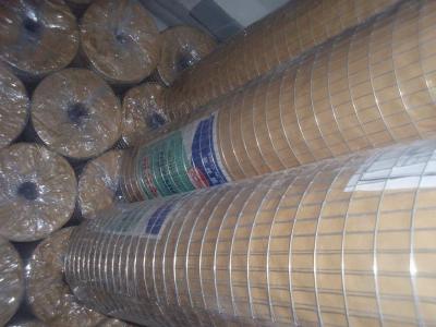 China Welded Wire Mesh Galvanized Square Wire Mesh Hexagonal Wire Mesh  for sale