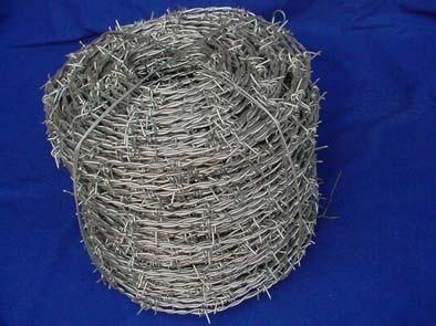 China Low Carbon Hot Dipped Electro-Galvanized Iron Wire Double Strand Barbed Wire for sale