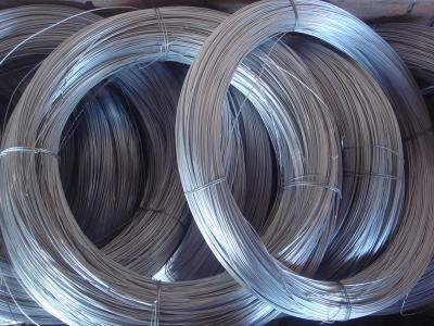 China 0.3-5mm of Electro Galvanized Iron Wire for sale