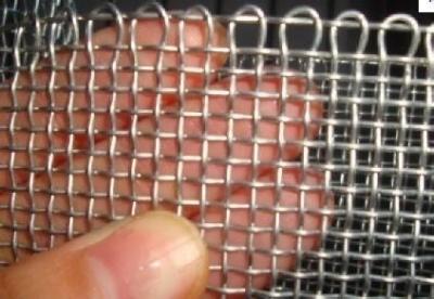 China 6 Mesh Electro Galvanized Square Wire Mesh Low Carbon Iron Sand Netting for sale