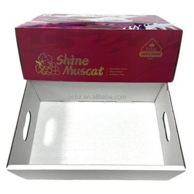 China Recyclable Customized Elegant and Sturdy Paper Box Fruits Packaging for sale