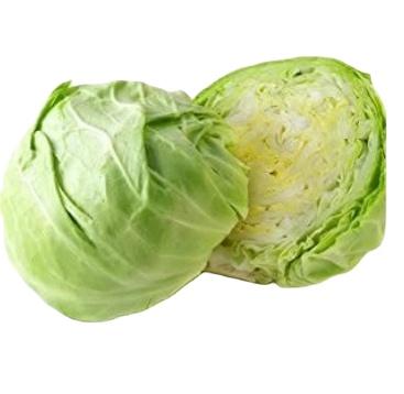 China 20201 fresh hot sale fresh common cabbage with best quality for sale