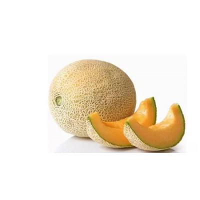 China Fresh hot tender delicious yellow hami melon exporting to Thailand for sale