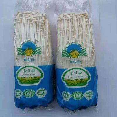 China 2021 China Brand Fresh Shimeji Mushroom Manufacture Nutritious Fresh Vegetables for sale