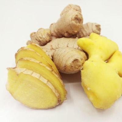 China Nice Fresh Dry Ginger Price from Ginger Wholesale Dried Ginger Air for sale