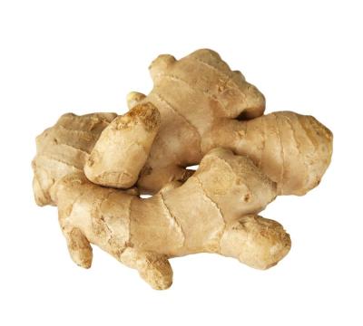 China China Fresh Fresh Ginger Air Dried Ginger Wholesale With GAP GLOBAL Color Shelf for sale