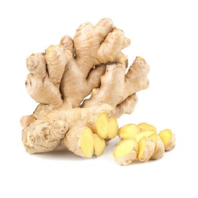 China Chinese Fresh Ripe Ginger Air Dry Ginger From Professional Factory for sale