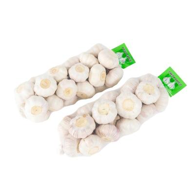 China Fresh Fresh Garlic Organic GAP Garlic Natural / Pure White Porcelain Garlic for sale