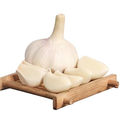 China Chinese Supplier Peeled Garlic Fresh Sale Peeled Garlic Production Line for sale