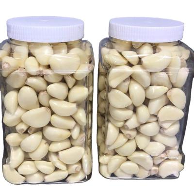 China China Supplier Fresh Peeled Garlic Peeled Garlic Fresh Garlic Cloves WITH GAP for sale