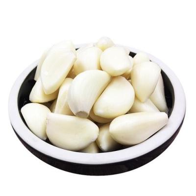 China Selling Fresh Peeled Garlic Fresh Garlic Cloves from China Supplier Peeled Garlic for sale